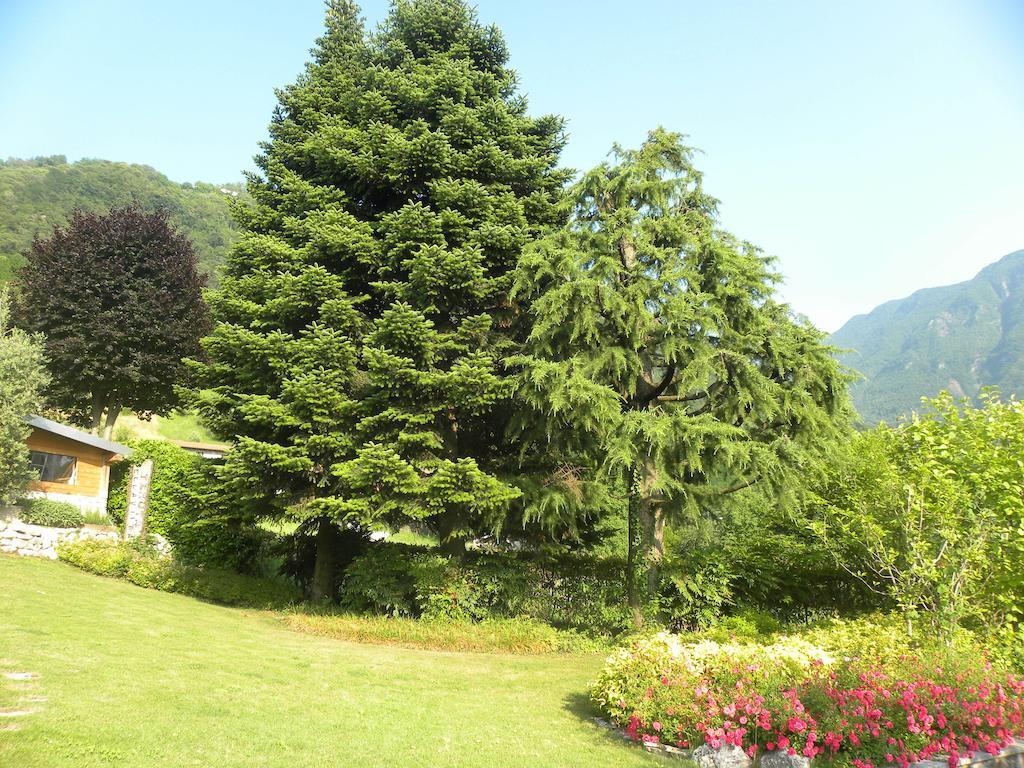 Villa Romele Пизонье Номер фото